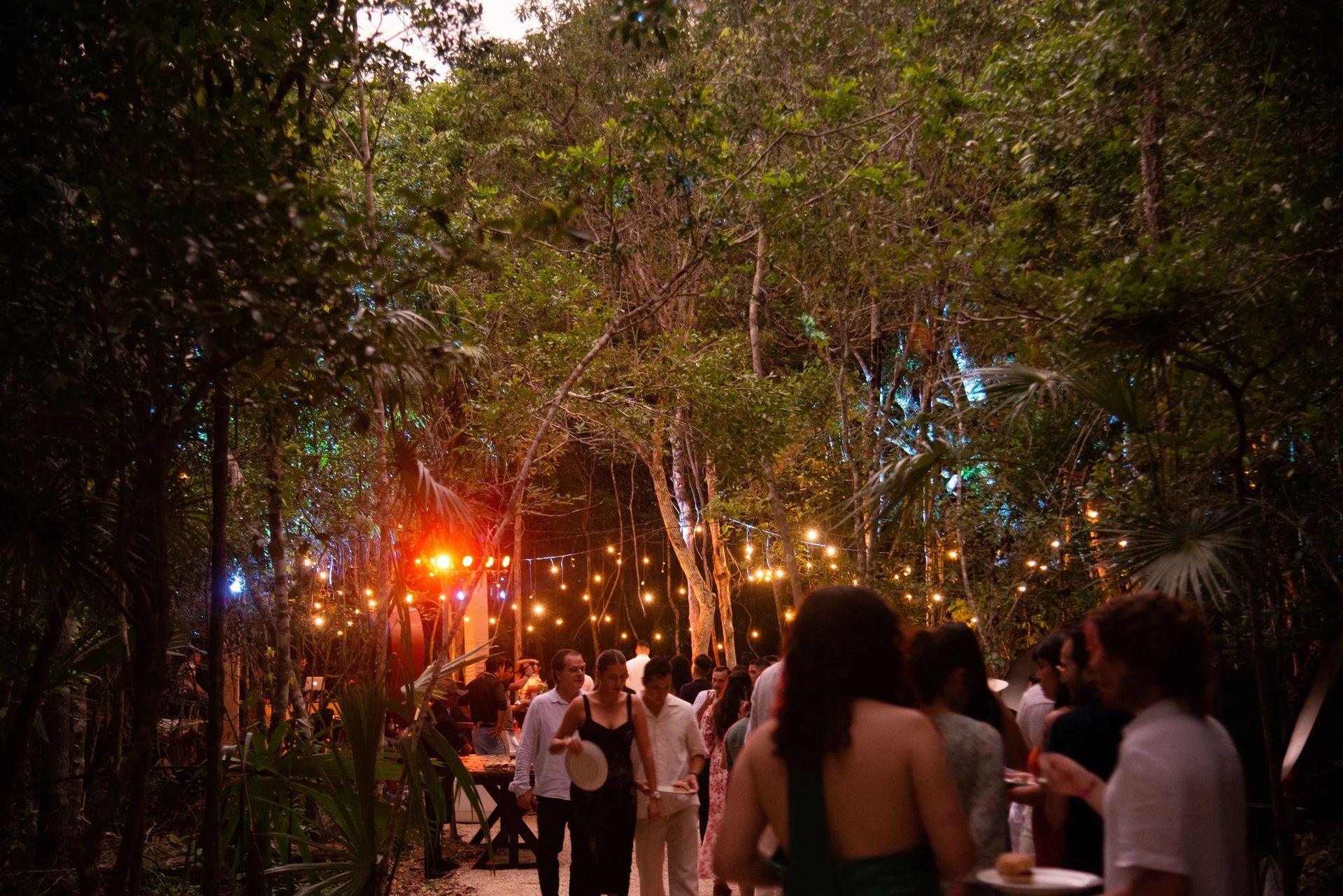 Guests mingling under string lights in the jungle evening